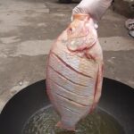Vietnam street food – Cooking Whole RED TILAPIA for 3 People Family Dinner Meal in Vietnam