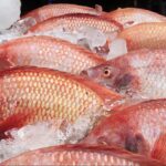 Taiwan Street Food – Red Sea Bream Fish 真鯛魚 / マダイの魚 / 붉은 도미 물고기