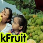 Vietnam Street Food 2018 Delicious Vietnamese Fruit JackFruit (Mit To Nu)