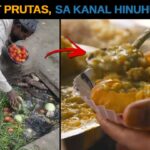 Ito ang Dahilan kung Bakit Delikado Kumain ng Street Foods sa India