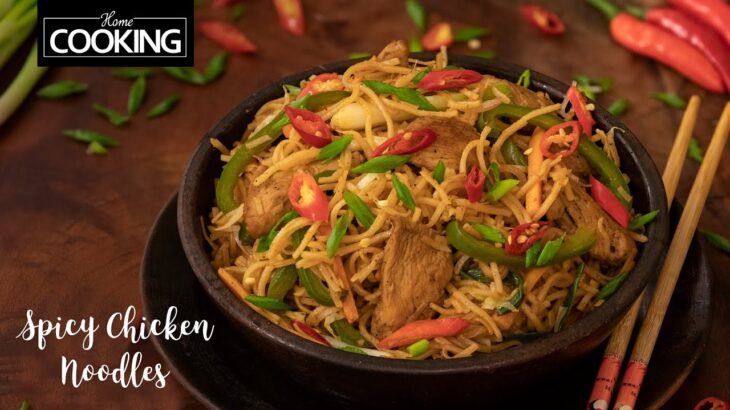 Spicy Chicken Noodles | Hakka Noodles Recipes | Street Food Recipes | Chicken Recipes