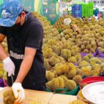 Crazy Speed! Amazing Durian Fruit Cutting Skills – Thai Street Food