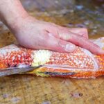 Japanese Street Food – GOLD SPOT WRASSE Sashimi Okinawa Seafood Japan