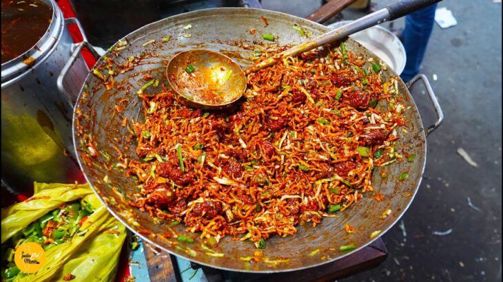 Most Famous Fry Noodles Manchurian Bhel Rs. 40/- Only l Mumbai Street Food