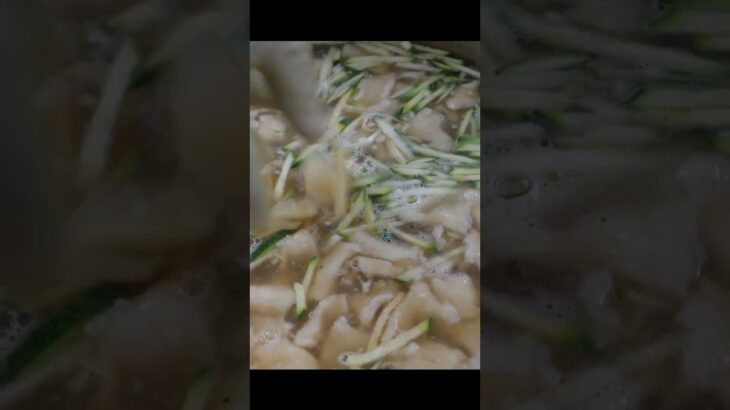 1평 노점의 전설! 주문 20초만에 나오는 푸짐한 시장 칼국수 달인 #shorts – korean noodles (Kalguksu) / Korean street food