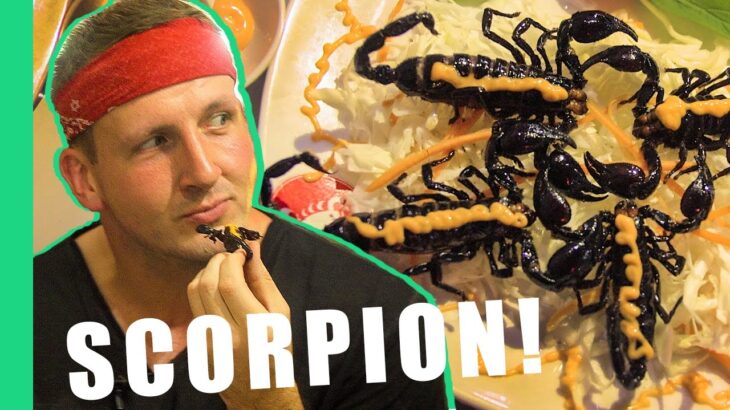 Eating Scorpion in Vietnam! | Bizarre Food Of Vietnam