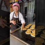 Asian street food 油酥饼