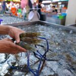 Eating Live Seafood Market in Bangkok Thailand