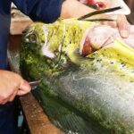 Japanese Street Food – GIANT MAHI MAHI FISH Japan Seafood