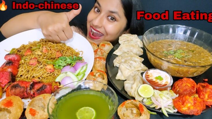 Mukbang:All The🔥 Indo-chinese Street Food Eating😋| Hakka Noodles,Tandoori,stream momos,hot&sour soup