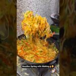Noodles Spring Rolls🙄😵|| Indian food