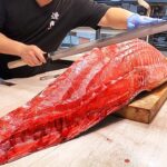 $30,000 the Wagyu Beef in the Ocean/ 400KG Giant Bluefin Tuna Cutting – Taiwan street food
