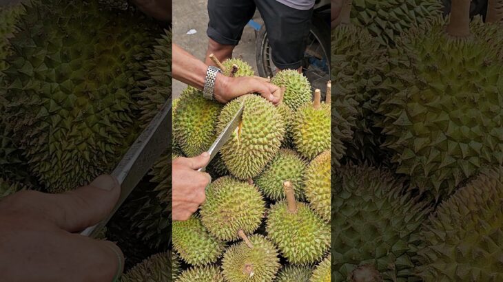 The world’s smelliest fruit? but very delicious, Durian fruit cutting – Vietnamese Street Food