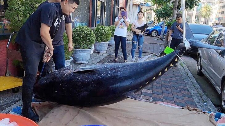 $10000 Giant Bluefin Tuna cutting for Sashimi – Taiwanese street food