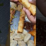 spring roll / street food / Chinese platter / momos