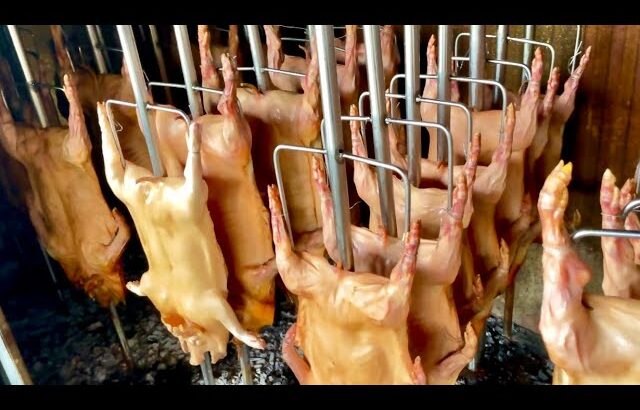 Amazing roasted skills! Barbacue suckling pig, 200 piglets sold per day – Thai Street Food