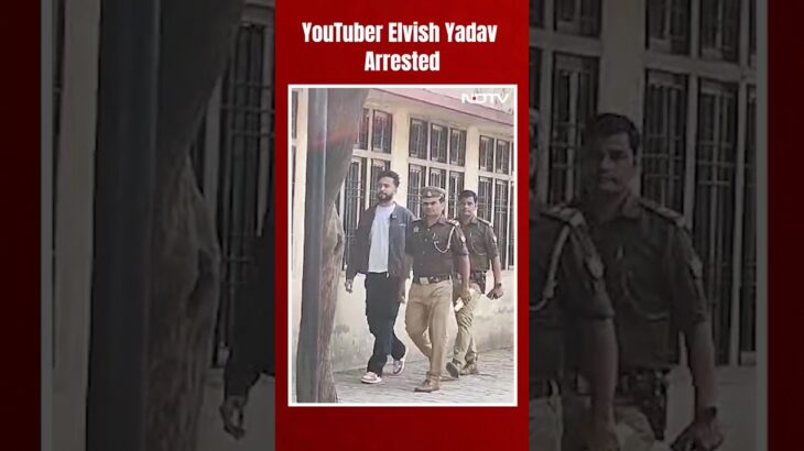 Elvish Yadav Arrested | YouTuber Elvish Yadav Arrested In Snake Venom-Rave Party Case