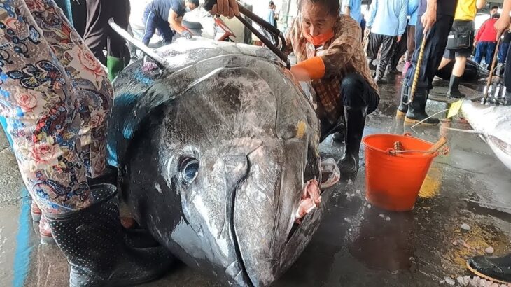 880 Pounds Giant Bluefin Tuna Cutting – Taiwan Street Food