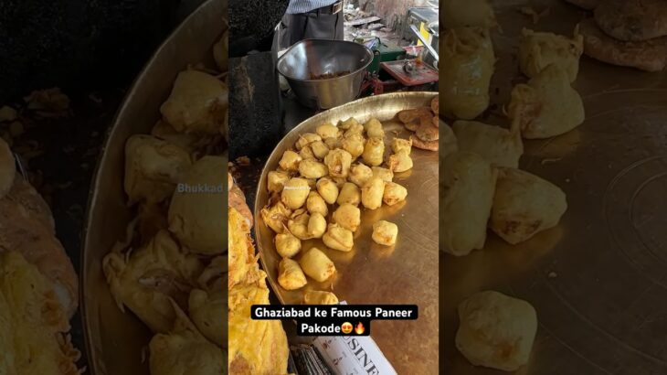 Ghaziabad ke Famous Paneer Pakode😍🔥|| Indian Street Food